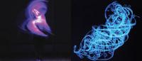 model of a molecule's different shapes